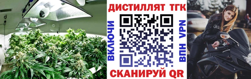 Дистиллят ТГК THC oil  Вихоревка 